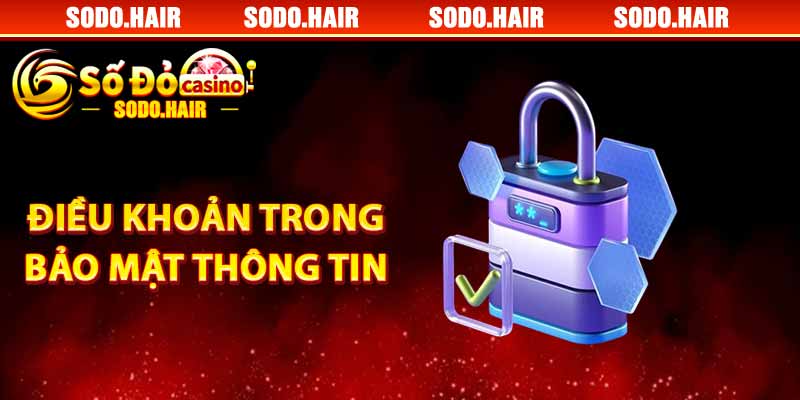 Điều Khoản Trong Bảo Mật Thông Tin Của Chính Sách Bảo Mật